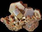 Large, Deep Red/Brown Vanadinite Crystals - Morocco #42197-1